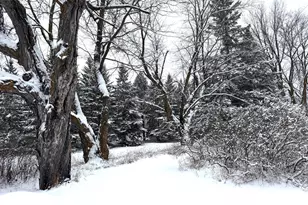 30400 650th Ave, Warroad, MN 56763 - Photo 16