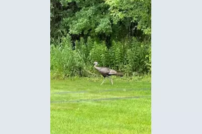 10765 Tamarack Circle NW, Coon Rapids, MN 55433 - Photo 20