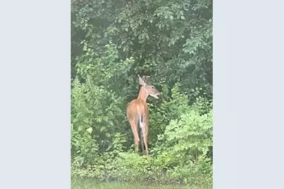 10765 Tamarack Circle NW, Coon Rapids, MN 55433 - Photo 24