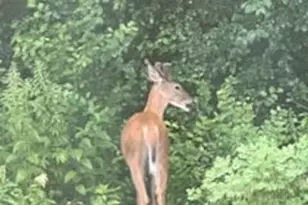 10765 Tamarack Circle NW, Coon Rapids, MN 55433 - Photo 24