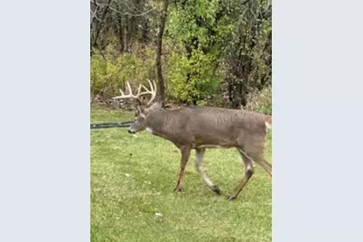10765 Tamarack Circle NW, Coon Rapids, MN 55433 - Photo 22