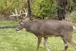 10765 Tamarack Circle NW, Coon Rapids, MN 55433 - Photo 22