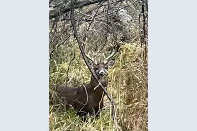 10765 Tamarack Circle NW, Coon Rapids, MN 55433 - Photo 26