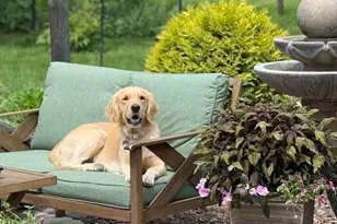 3424 Roosevelt St NE, Saint Anthony, MN 55418 - Photo 30