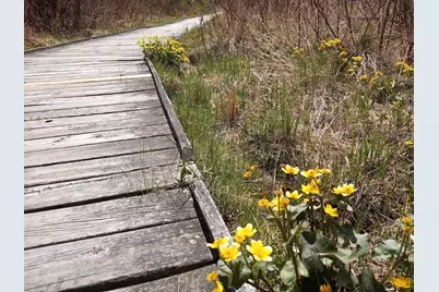 8421 156th Lane NW, Ramsey, MN 55303 - Photo 30