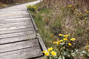 8421 156th Ln NW, Ramsey, MN 55303 - Photo 30