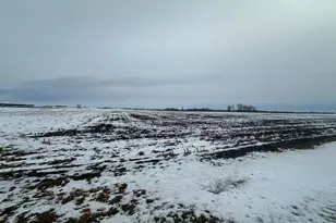 Tbd County 36, Long Prairie, MN 56347 - Photo 1