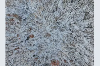 Tbd County Road 3, Saint Joseph, MN 56374 - Photo 44