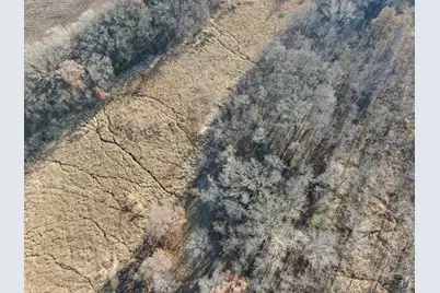 Tbd County Road 3, Saint Joseph, MN 56374 - Photo 10