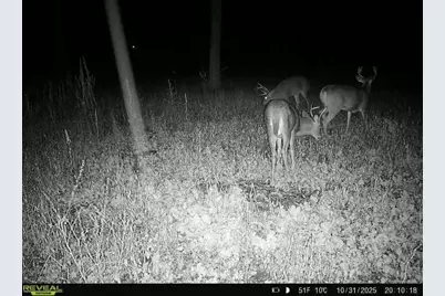 Tbd County Road 3, Saint Joseph, MN 56374 - Photo 22