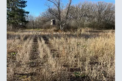 Tbd County Road 3, Saint Joseph, MN 56374 - Photo 20