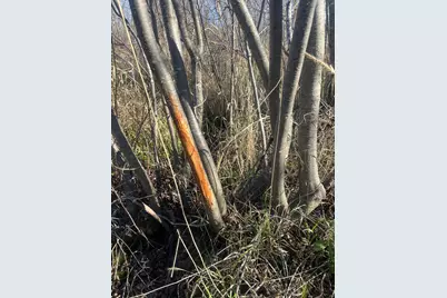 Tbd County Road 3, Saint Joseph, MN 56374 - Photo 6