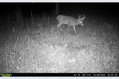 Tbd County Road 3, Saint Joseph, MN 56374 - Photo 26