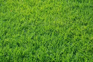 5141 Sydnie Rd NW, Rochester, MN 55901 - Photo 1