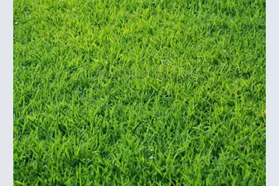 5129 Sydnie Road NW, Rochester, MN 55901 - Photo 1