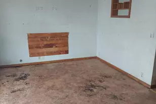 309 N Badger St, Caledonia, MN 55921 - Photo 10