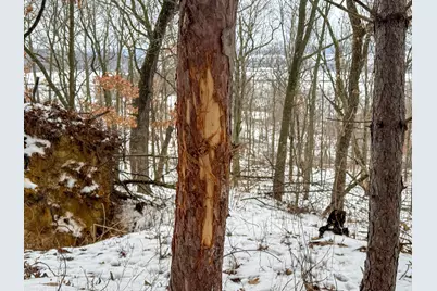 Tbd Reck Lane, Whitehall, WI 54773 - Photo 8