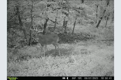 Tbd Reck Lane, Whitehall, WI 54773 - Photo 28