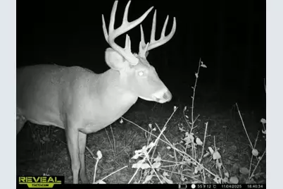 Tbd Reck Lane, Whitehall, WI 54773 - Photo 22