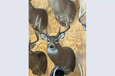 Tbd Reck Lane, Whitehall, WI 54773 - Photo 58