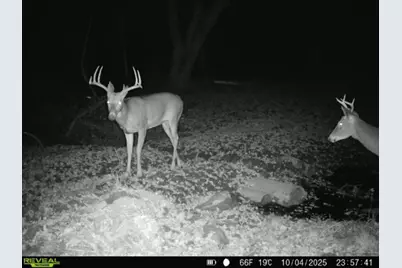 Tbd Reck Lane, Whitehall, WI 54773 - Photo 34