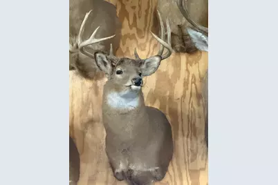 Tbd Reck Lane, Whitehall, WI 54773 - Photo 60