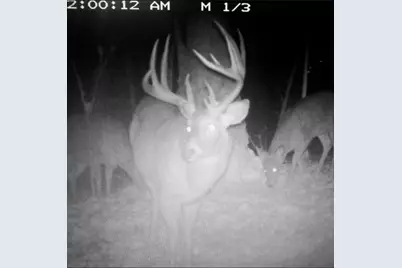 Tbd Reck Lane, Whitehall, WI 54773 - Photo 44