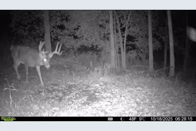 Tbd Reck Lane, Whitehall, WI 54773 - Photo 26