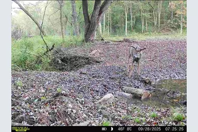 Tbd Reck Lane, Whitehall, WI 54773 - Photo 18