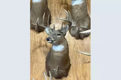 Tbd Reck Lane, Whitehall, WI 54773 - Photo 54