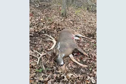 Tbd Reck Lane, Whitehall, WI 54773 - Photo 70