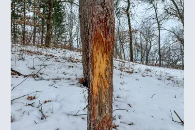 Tbd Reck Lane, Whitehall, WI 54773 - Photo 6