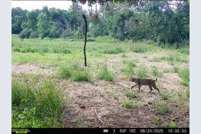 Tbd Reck Lane, Whitehall, WI 54773 - Photo 24