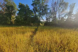 8800 Grace Ln N, Greenfield, MN 55357 - Photo 76