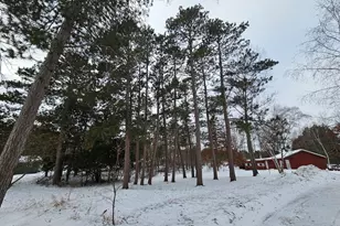 24569 County 18, Nevis, MN 56467 - Photo 22