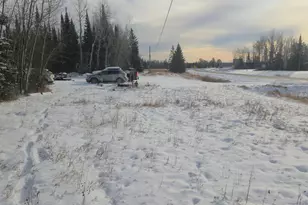 3176 Hwy 53, International Falls, MN 56649 - Photo 2