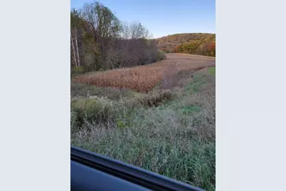 Xxxxx County 45 Boulevard, Red Wing, MN 55066 - Photo 4