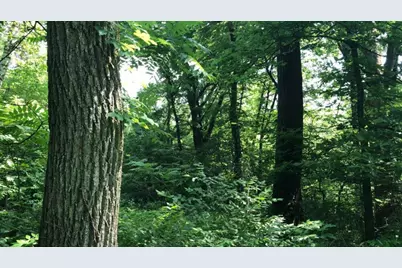 Xxxxx County 45 Boulevard, Red Wing, MN 55066 - Photo 8