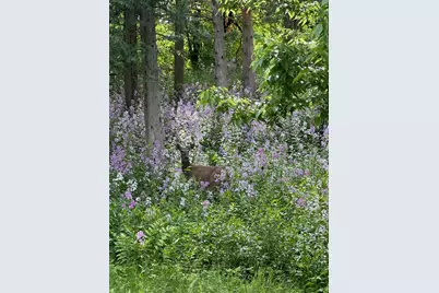 360 3rd Street, Marine on Saint Croix, MN 55047 - Photo 60