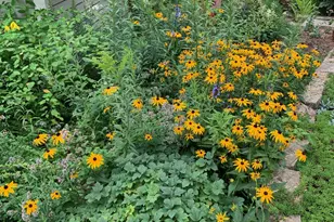 360 3rd St, Marine on Saint Croix, MN 55047 - Photo 58