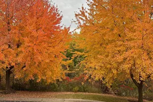 4605 Victor Path, Hugo, MN 55038 - Photo 34