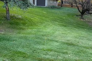 16173 Co Rd 51, Saint Joseph, MN 56374 - Photo 52