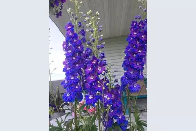 11576 Bristol Road, Chisago City, MN 55013 - Photo 50