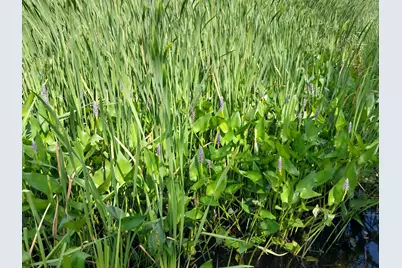 3901 Pleasant Lane, Eveleth, MN 55734 - Photo 8