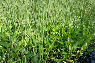 3901 Pleasant Ln, Eveleth, MN 55734 - Photo 8