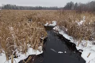 3901 Pleasant Ln, Eveleth, MN 55734 - Photo 14