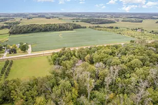 4645 Halstad Ave, Webster, MN 55088 - Photo 42