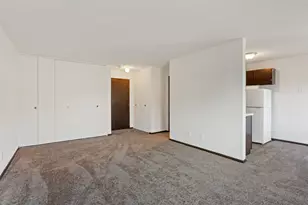333 8th Street SE, Minneapolis, MN 55414 - Photo 8