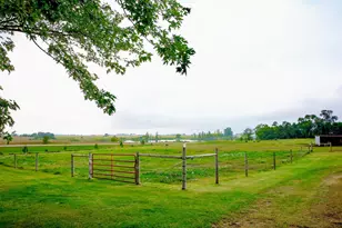 23109 145th St NE, New London, MN 56273 - Photo 66