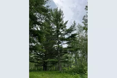 W37Xx Frog Creek Road, Minong, WI 54859 - Photo 46